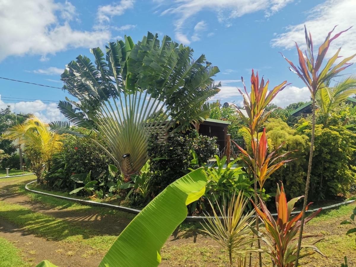 Au Coeur Du Papillon Piscine Collective En Famille Villa Goyave Exteriör bild
